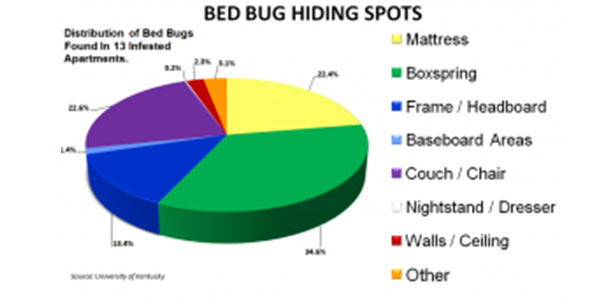 Bed bug hiding spots