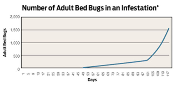 Protect Your Property From Bed Bugs